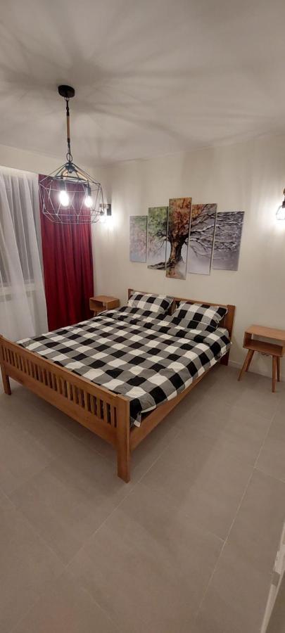 University Apartment Baia Mare Exterior photo